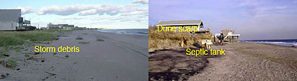 Beach with dredged sand shows no erosional scarp