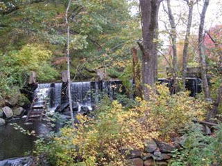 Shady Lea dam removal in North Kingstown