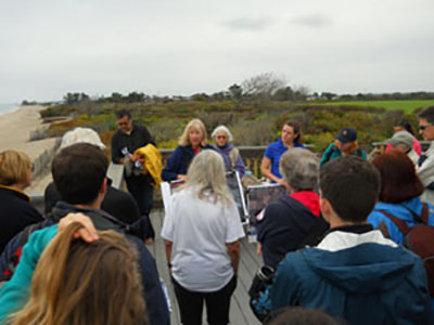 Janet Freedman shows the erosion walk attendees a soil profile, exposed by Sandy and recent storm events, as well as an illustration of the beach profile post-hurricane of 1938 and post-Sandy.