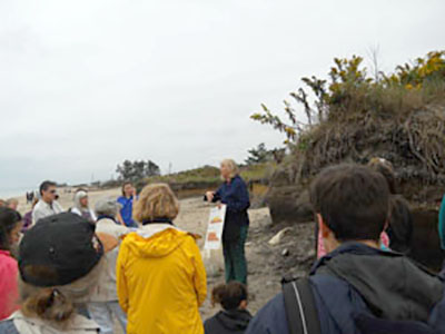 Janet Freedman shows the erosion walk attendees a soil profile, exposed by Sandy and recent storm events, as well as an illustration of the beach profile post-hurricane of 1938 and post-Sandy (they are almost identical).