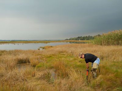A Save The Bay volunteer digs mini-trenches to help flush the marsh at Rhode Island School of Design’s Barrington Beach salt marsh, which has been impounded by storm events, drowning the marsh in place