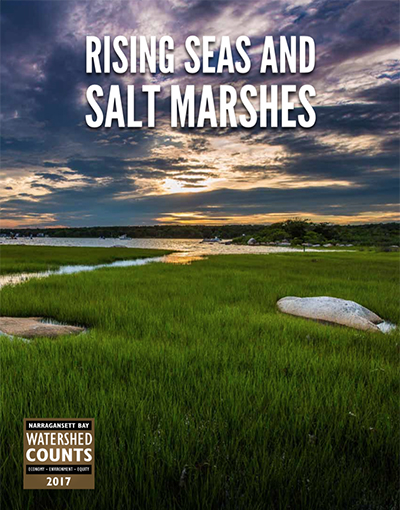 Rising Seas and Salt Marshes Report
