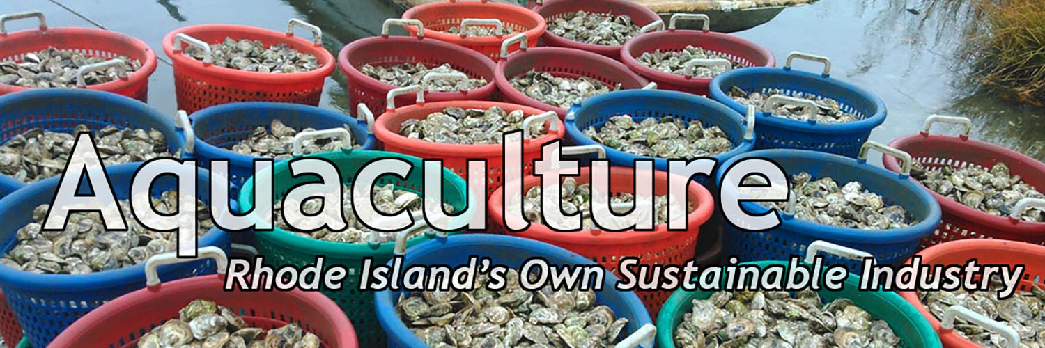 Baskets of shellfish
