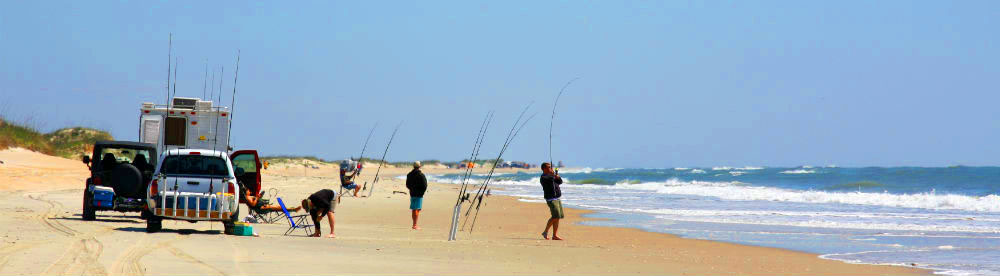 People fishig on beach with vehicles parked nearby on the beach