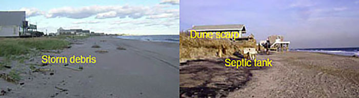 Beach with dredged sand and beach showing dune scarp and newly exposed ISDS