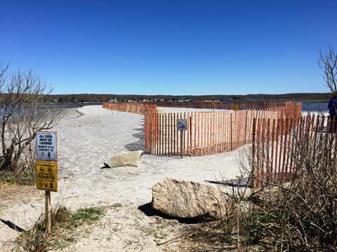 Quonnie salt marsh