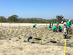 May 19th planting