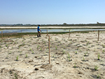May 19th planting