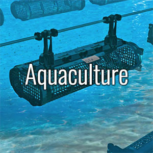 Aquaculture