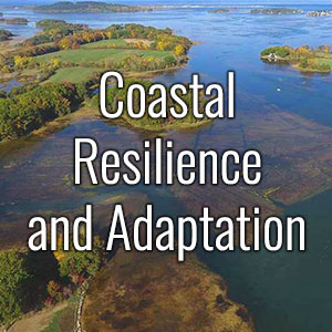 Coastal Resilience and Adaptation