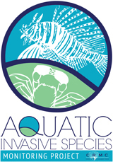 AIS Monitoring Logo