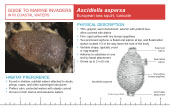 Reference Card