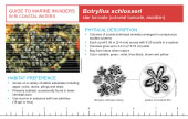 Reference Card