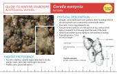Reference Card