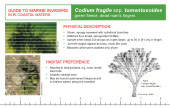 Reference Card