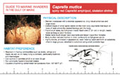 Reference Card