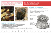Reference Card
