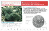 Reference Card