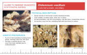 Reference Card