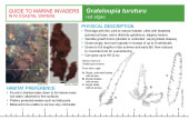 Reference Card