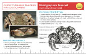 Reference Card