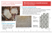 Reference Card