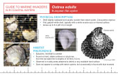Reference Card