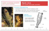 Reference Card