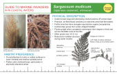 Reference Card