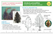 Reference Card