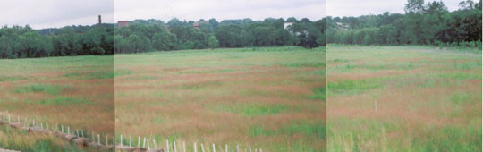 Lonsdale post-restoration in 2004