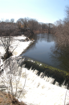 Lower Pawtuxet River Restoration Project