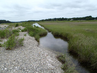 Potowomut Salt Marsh restoration in Warwick