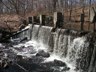 Shady Lea dam removal in North Kingstown