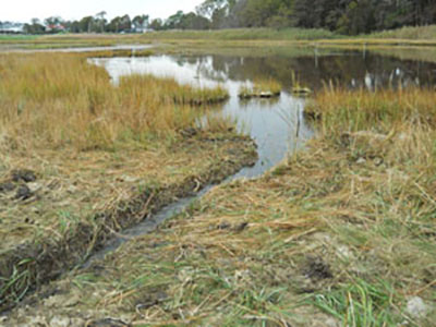 Wenley Ferguson, director of habitat restoration for Save The Bay, shows an aerial photo of the Barrington Beach salt marsh from 2012 showing the degree of impoundment to the marsh, and degradation caused by standing water.