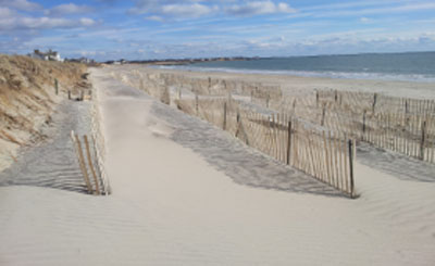 The dunes recovering