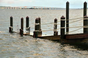 High Tide