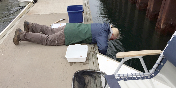 Kevin Cute demonstrates monitoring methods