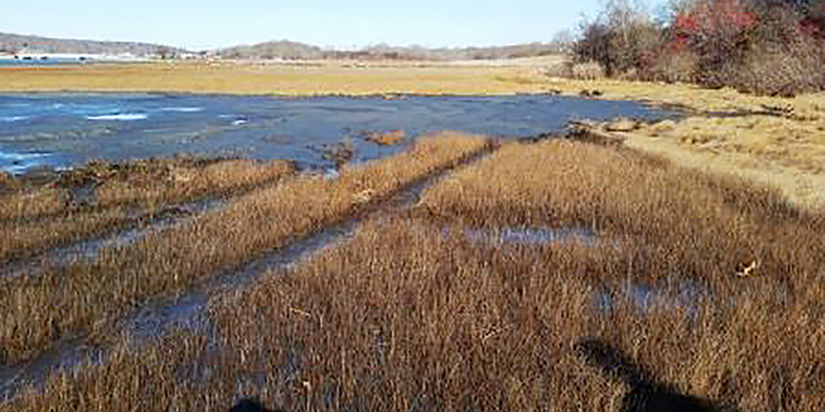 Lengths of pipe pumping the material from the river onto the sinking areas of the marsh