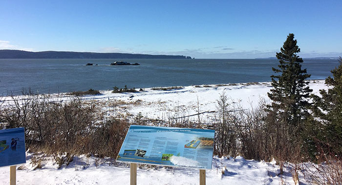 Bay of Fundy