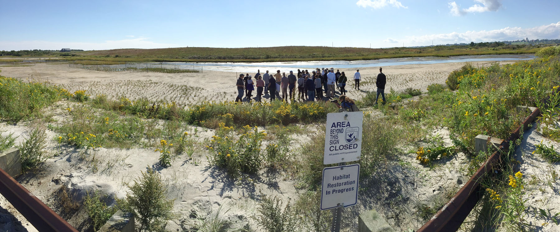 Sachuest Point salt marsh panoramic