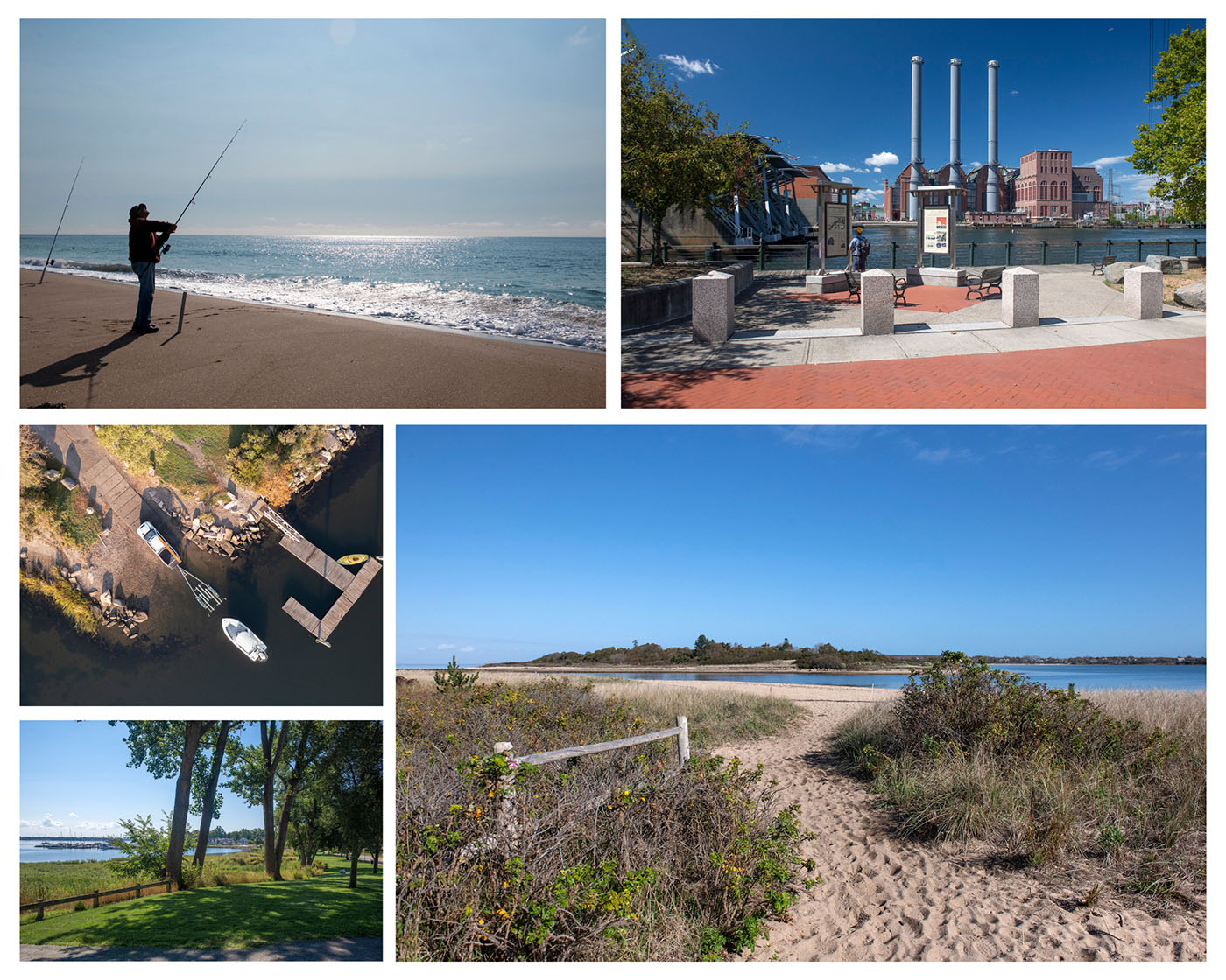 Collage of shoreline photographs