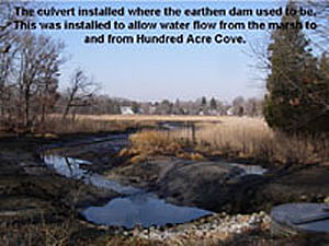 The culvert where the dam used to be