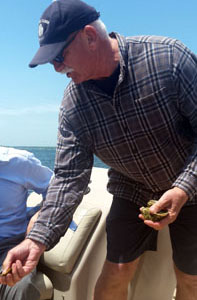 CRMC Aquaculture Coordinator Dave Beutel shows tour participants new growth on oysters