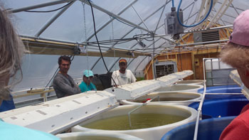 Durfee explains growing algae