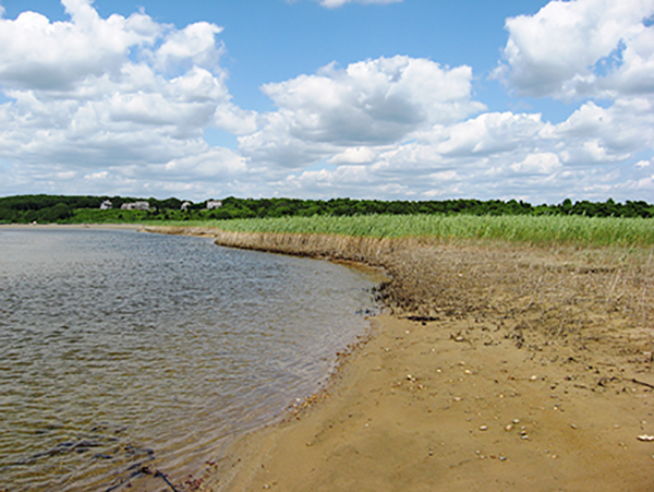 Goosewing Beach complex in Little Compton