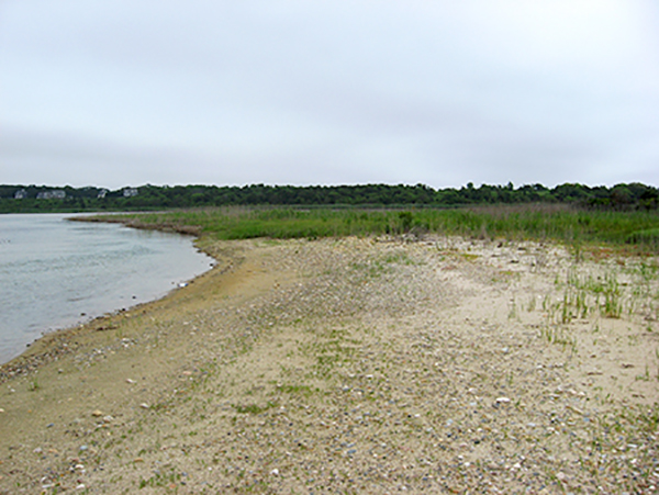 Goosewing Beach complex in Little Compton