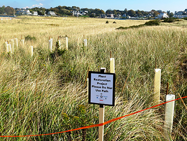 Napatree Point Conservation Area in Watch Hill