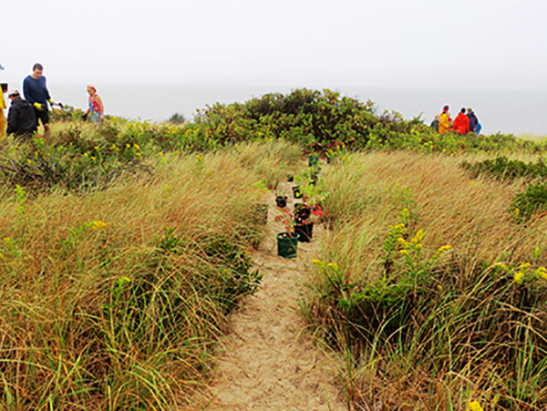 Napatree Point Conservation Area in Watch Hill