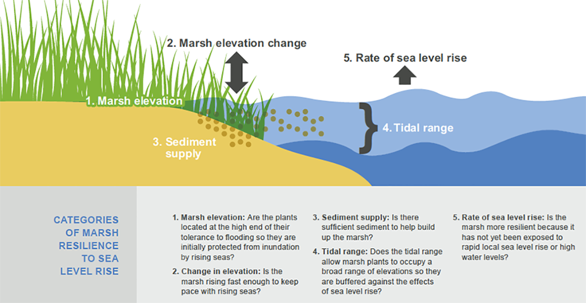 Categories of marsh resilience to sea level rise